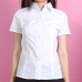  Classic Dress Shirt